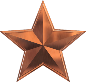 Star Bronze - 1941 Club